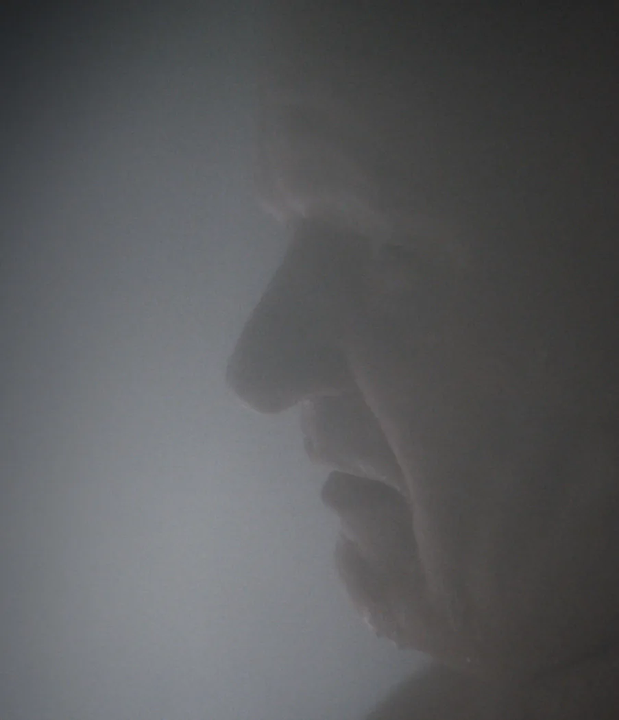 Stellan Skarsgård: Baron Harkonnen
