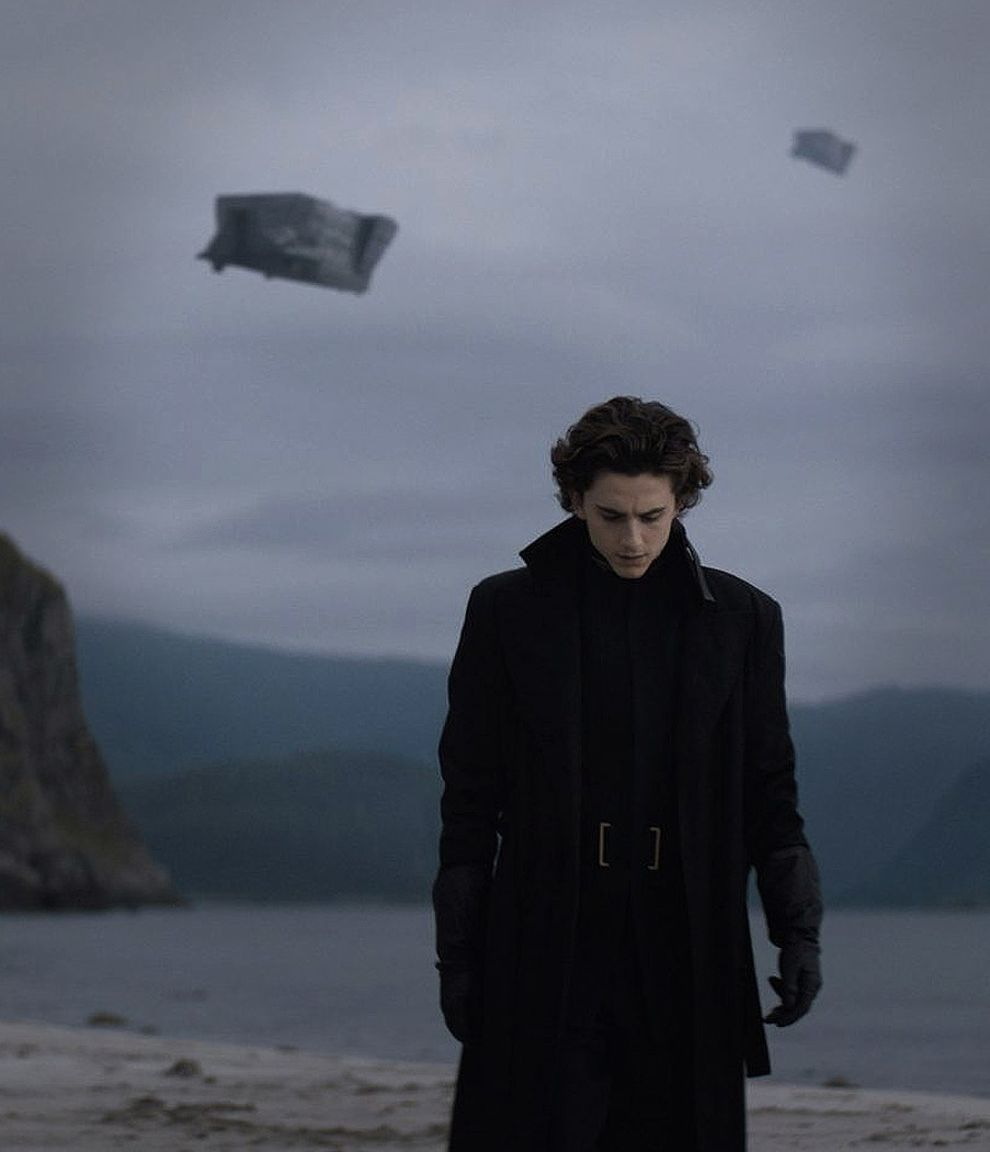 Timothée Chalamet: Paul Atreïdes