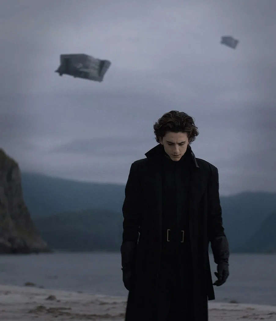 Timothée Chalamet: Paul Atreïdes